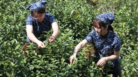 image003.jpg image003.jpg